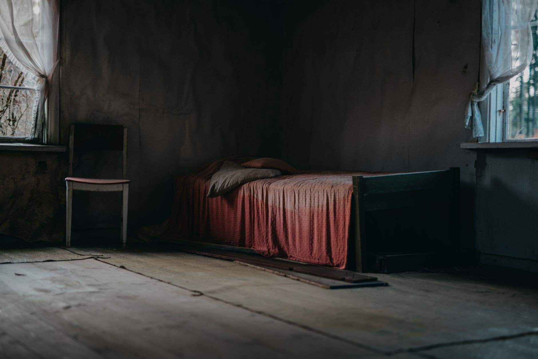 Traitement punaises de lit à Vénissieux